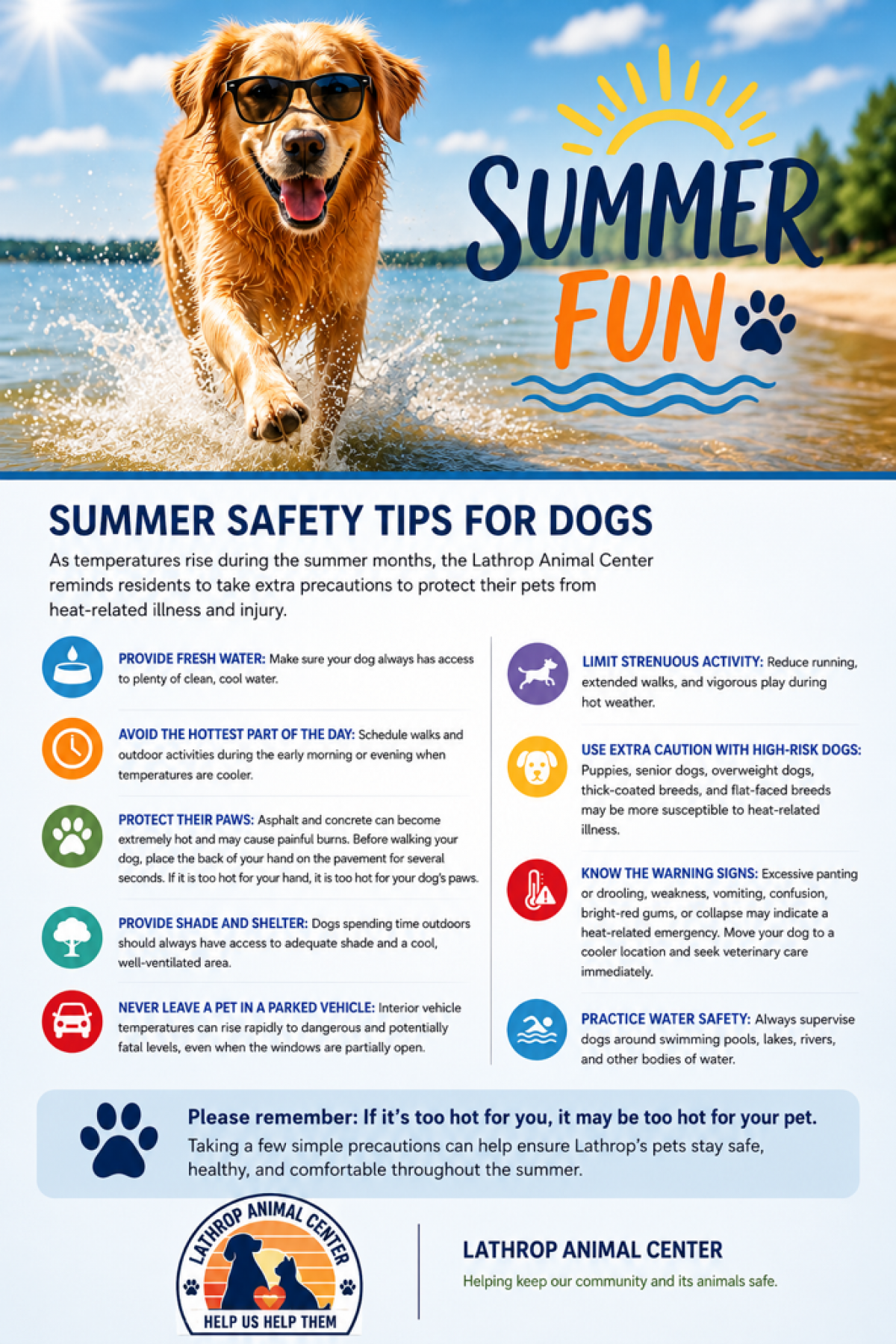 Summer flyer of golden receiver wearing sunglasses running in the water at the beach