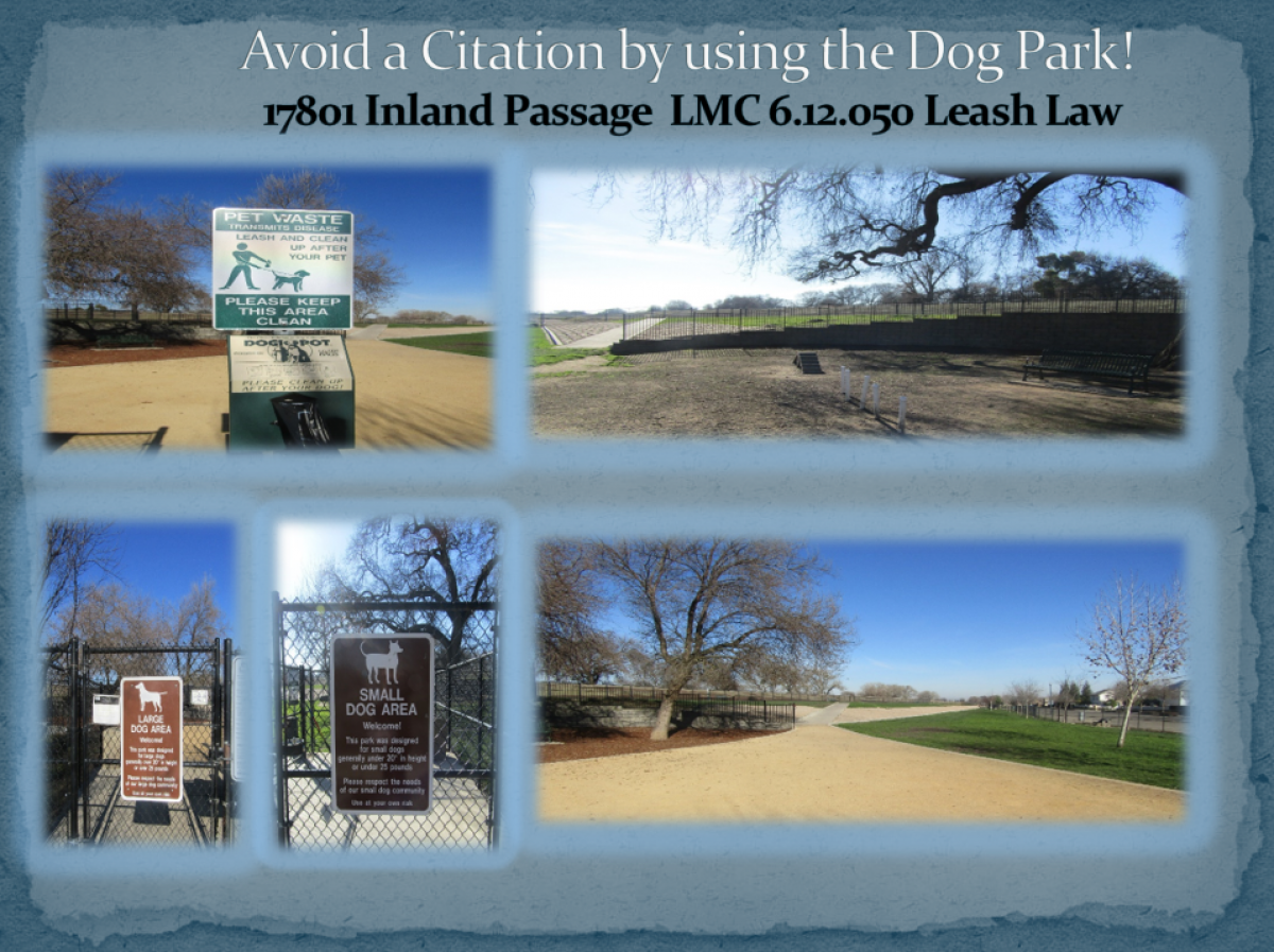 Pictures of Lathrop Dog Park