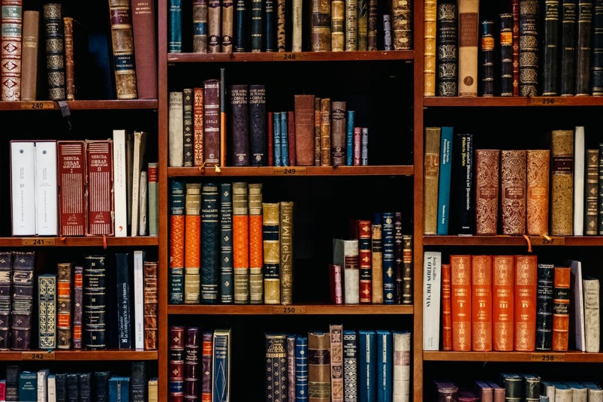 Library book cases filled with books