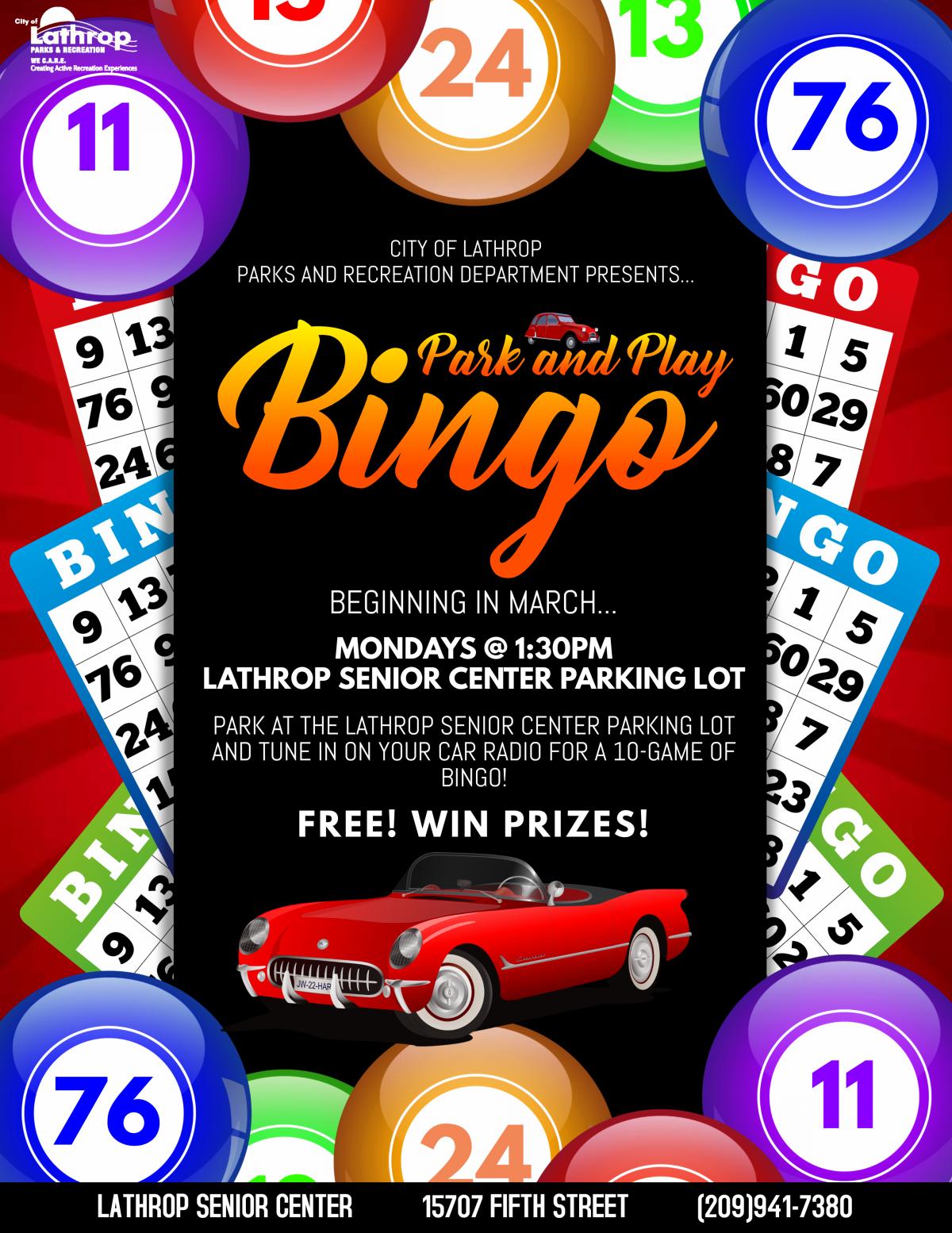 Senior Park and Play Bingo Flyer