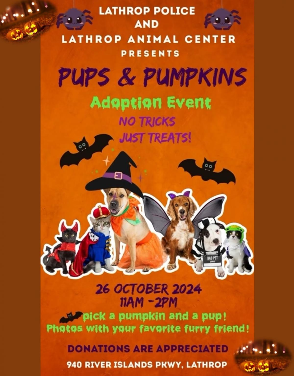 Image of the Pups & Pumpkins Event for the Lathrop Animal Center on October 26, 2024