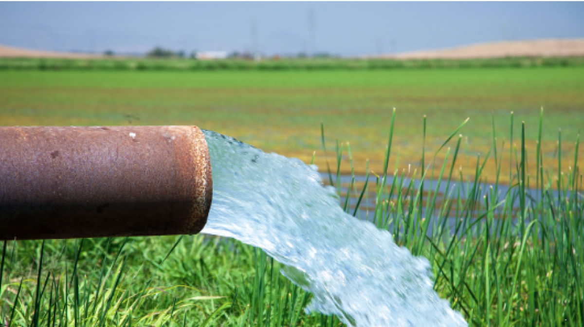 Groundwater over field of green grass