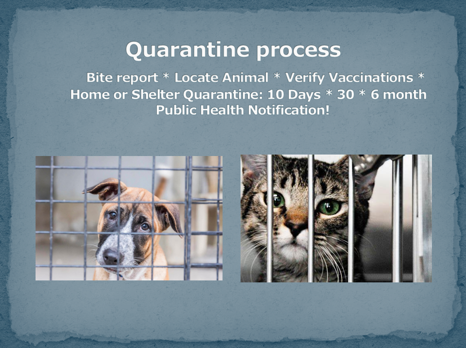 Bites & Quarantine | City of Lathrop CA