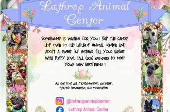 Lathrop Animal Center Easter 2026 Adoption Flyer 